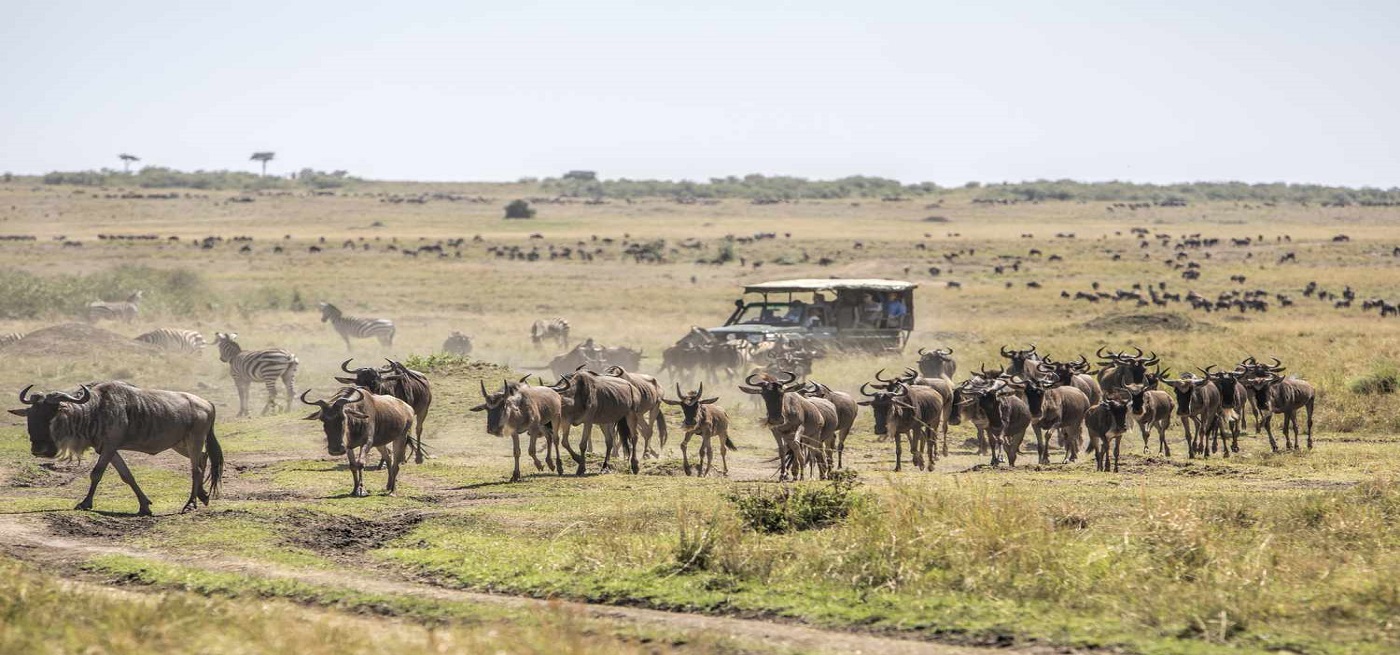 MASAI-MARA-NATIONAL-RESERVE